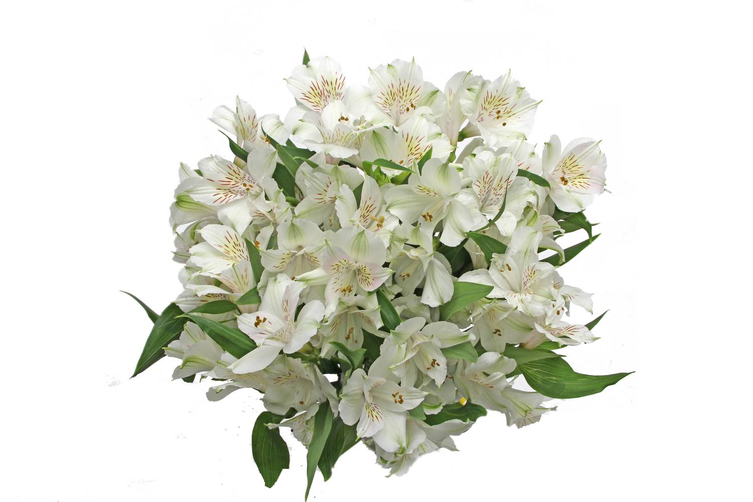 Dierbergs Flowers & Gifts Alstroemeria Bouquet (1 ea)