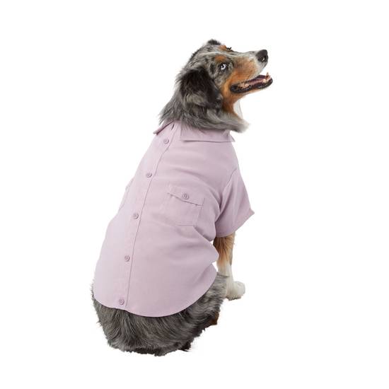 Top Paw® Back-To-School Trouble Maker Dog Vest, dog Sweaters