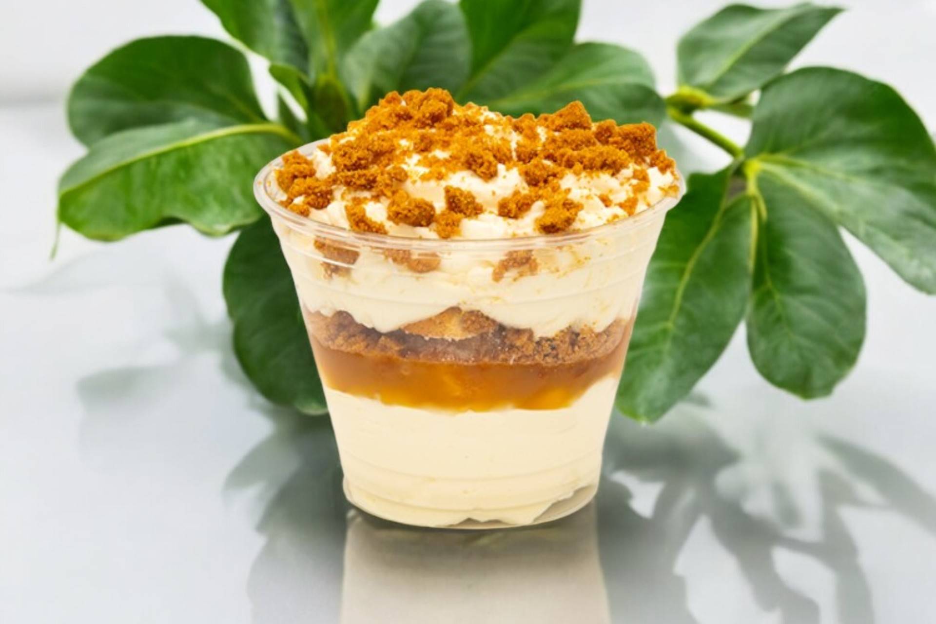 🎂💕Tiramisu Caramel