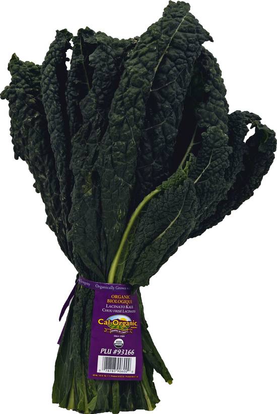 Cal-Organic Farms Organic Lacinato Kale
