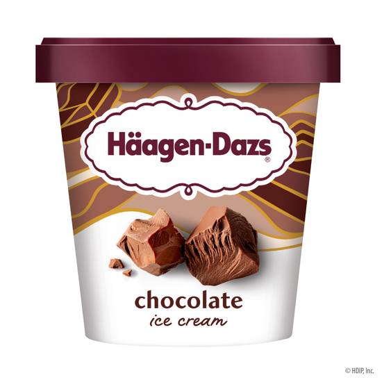 Haagen-Dazs Chocolate Ice Cream, 14oz