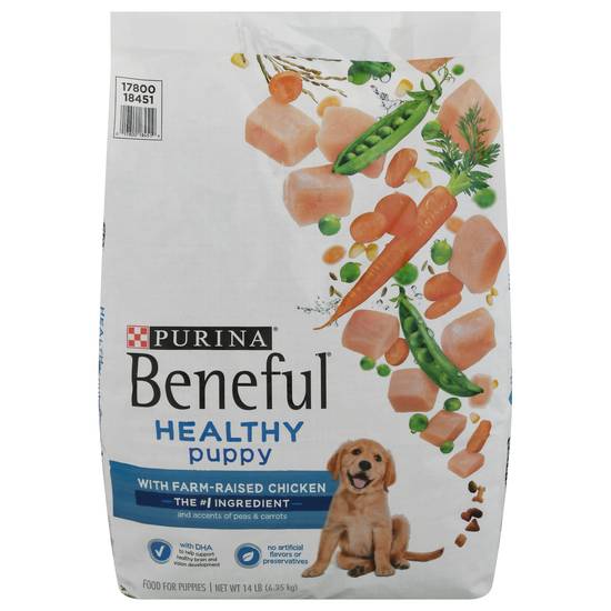 Purina Beneful Original Chicken Dry Dog Food (14 lbs)