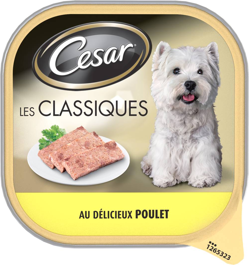 Cesar - Barquette poulet en terrine pour chien (300g)