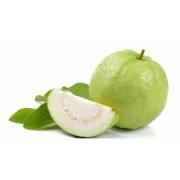 Guava 1 Each