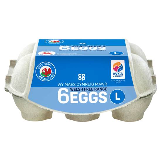 Co-Op Welsh Large Free Range Eggs 6s