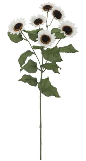 White Sunflower Stem By Ashland