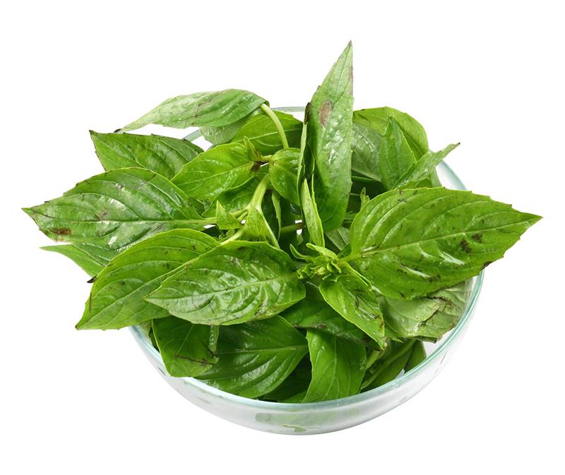 精選九層塔(每包約50g) <1Bag袋 x 1 x 1Bag袋>