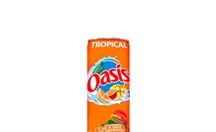 Oasis Tropical 33