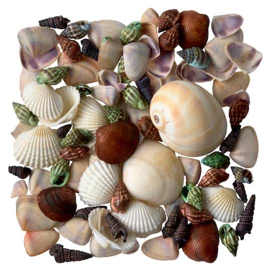 Ashland Dyed & Natural Mixed Sea Shells (1.75 oz)