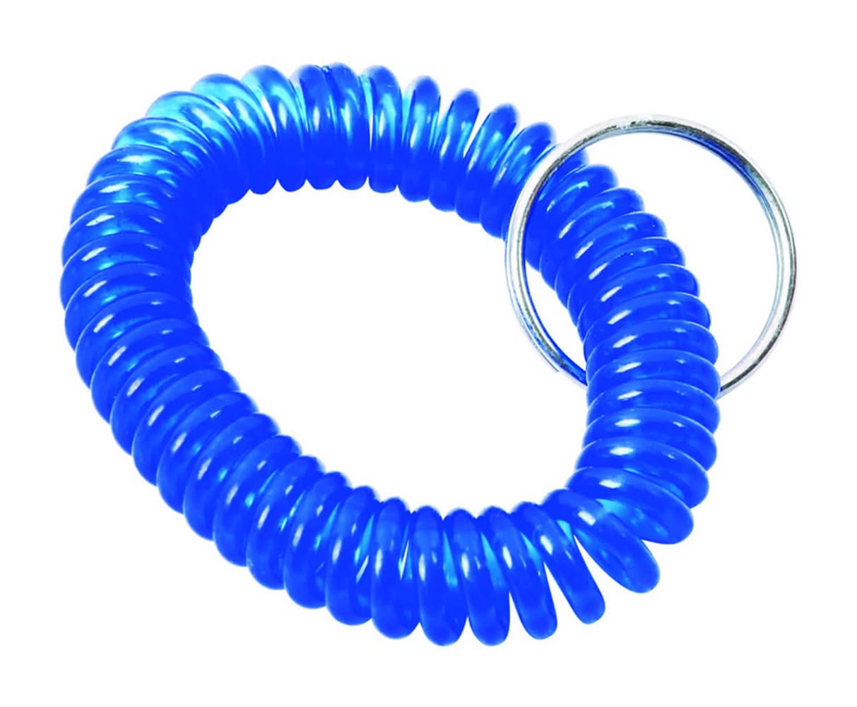 Home Plus Vinyl Blue/Silver Coiled Key Ring