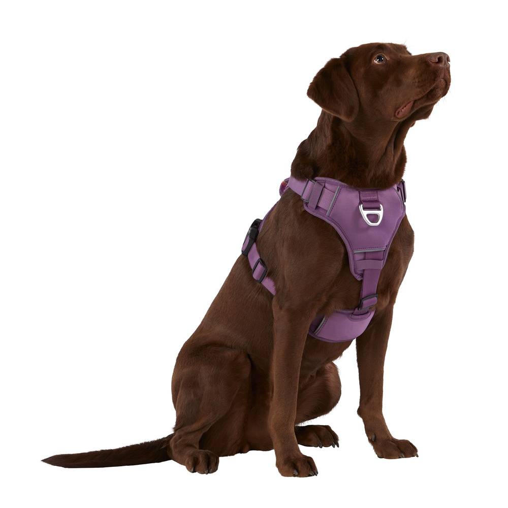 Arcadia Trail™ Neoprene Dog Harness - Reflective, Water-Resistant (Color: Purple, Size: Medium)