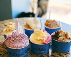 FRÍO Gelato (Andersonville)