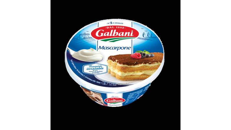 Galbani Mascarpone, fromage italien tartinable de triple crème La boîte de 250g
