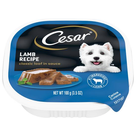 Cesar Lamb Recipe Classic Loaf in Sauce Dog Food