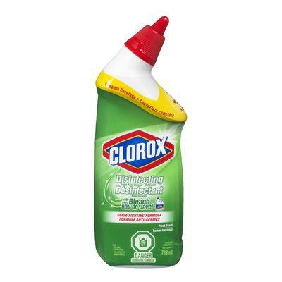 Clorox Toilet Bowl Cleaner With Bleach (709 g)