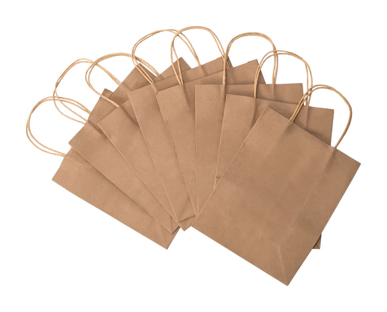 Kraft Gift Bags 8-Count Brown