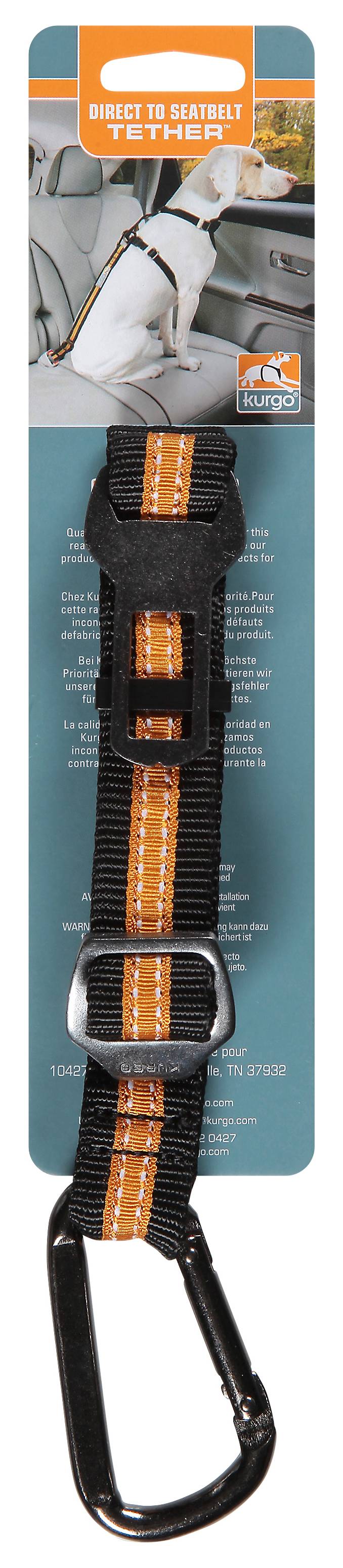 Kurgo Black and Orange Tether