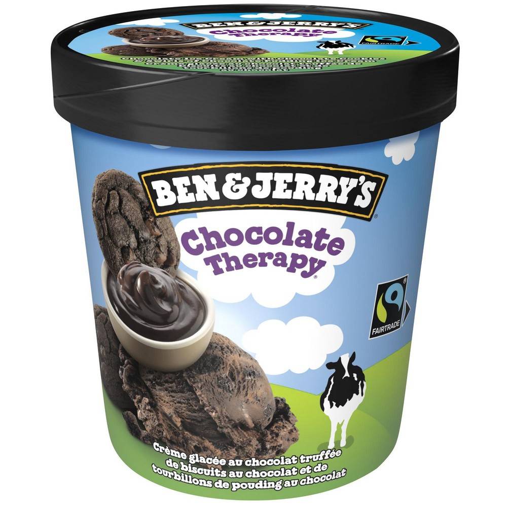 Ben & Jerry's Chocolate Therapy Ice Cream (473 g)