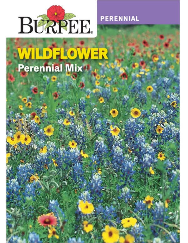 Burpee Per  Wildflower Perennial Mix