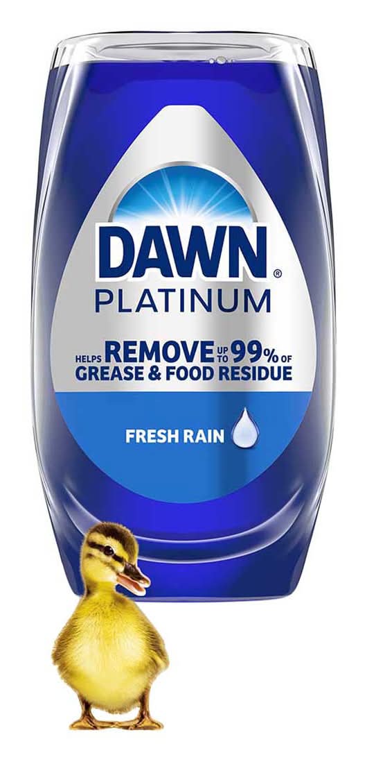 Dawn Ez Squeeze Dishwashing Liquid, Fresh Rain (11.8 fl oz)
