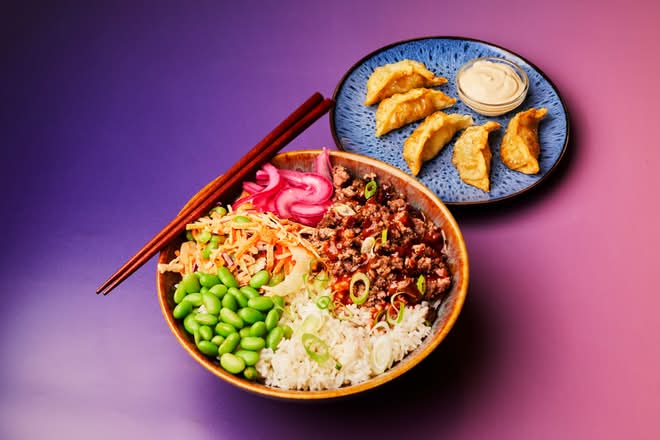 Rice Bowl & Gyoza Bundle