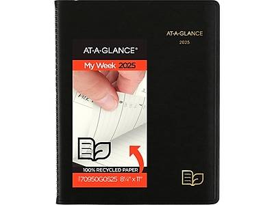 AT-A-GLANCE 2025 Weekly & Monthly Appointment Book Planner, Black