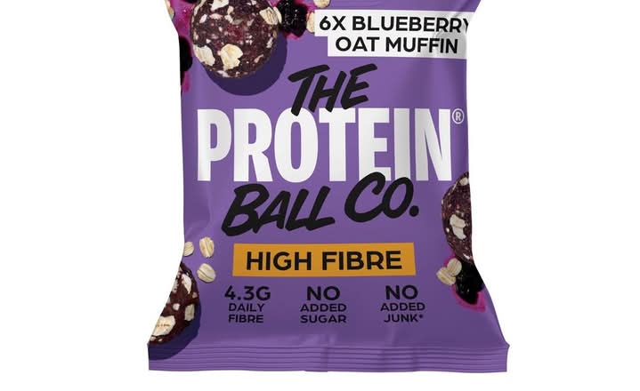 Blueberry Oat Muffin Protein Balls