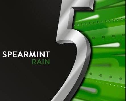Wrigleys 5 Spearmint Rain 35 Sticks