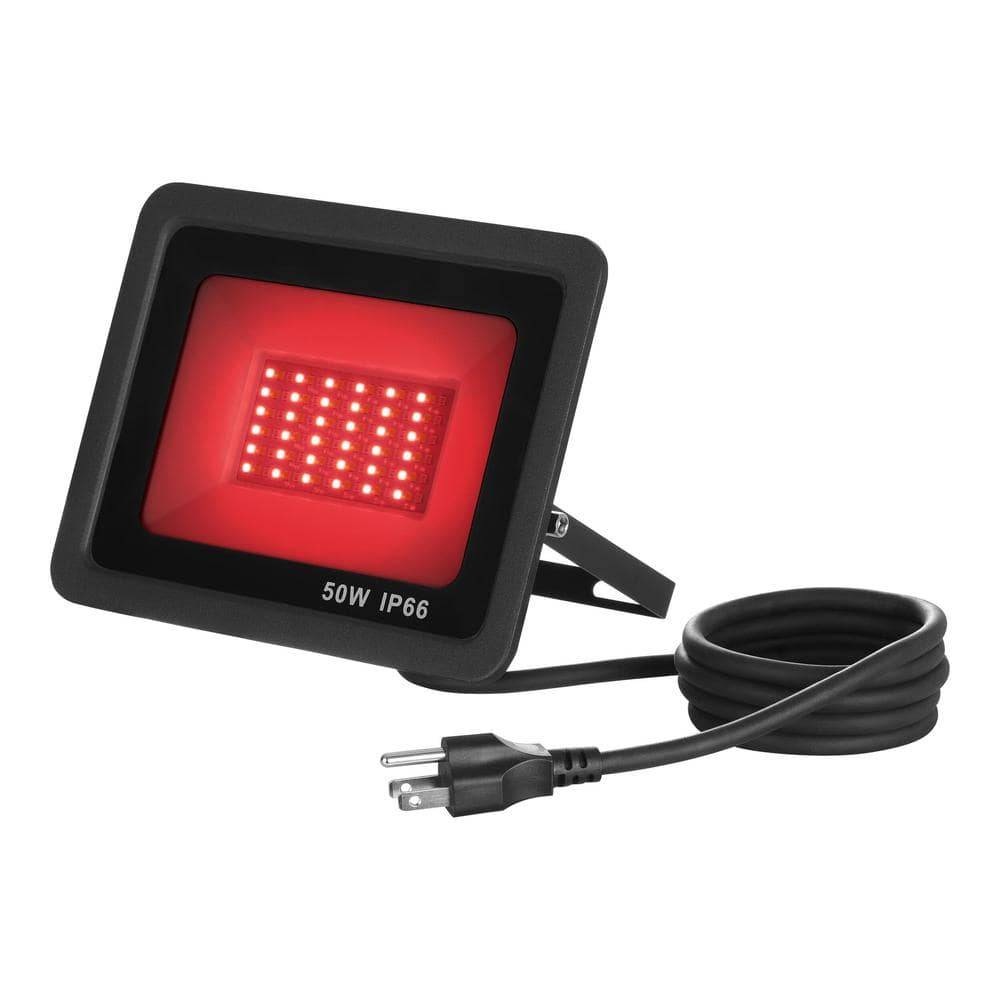 Home Accents Holiday 50-Watt Multi-Colored Led Floodlight