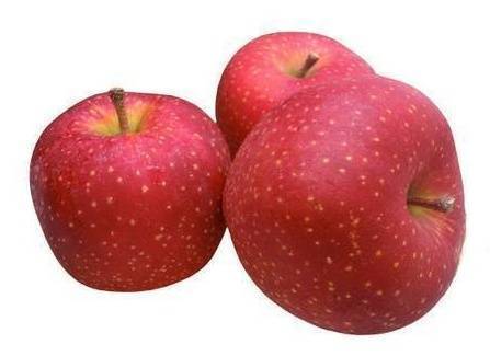 南非富士蘋果12顆 約2300g±10%(黎明市場精選商品/D012-48)