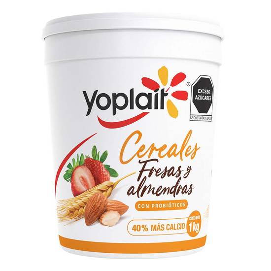 Yoplait yogurt con cereales fresas y almendras (bote 1 kg)