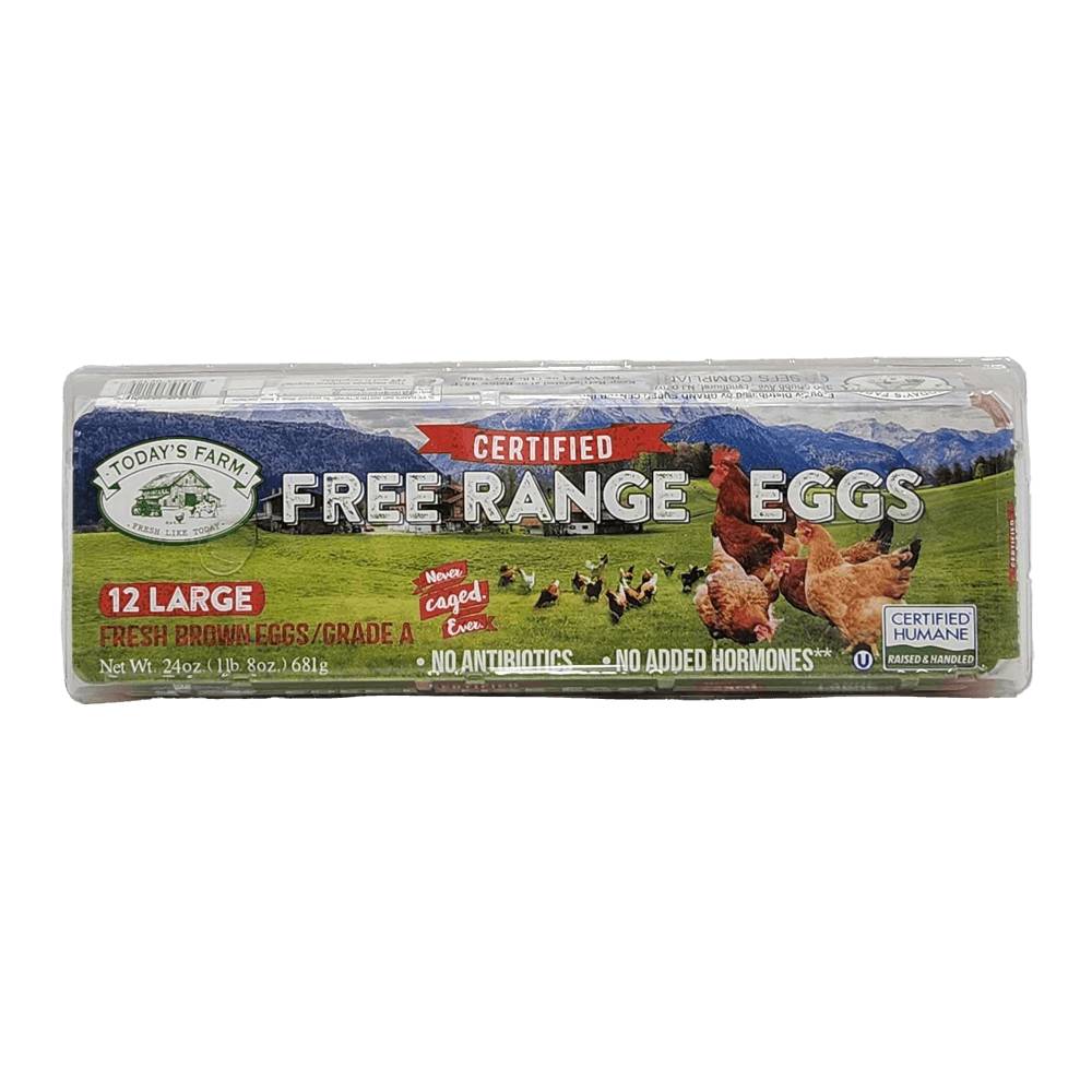 Today's Farm Free Range Grade a Brown Eggs, Large (24 oz, 12 ct)