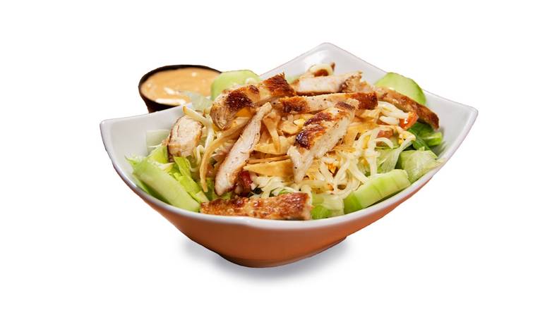 Palenque Salad w/ Chicken Fajita