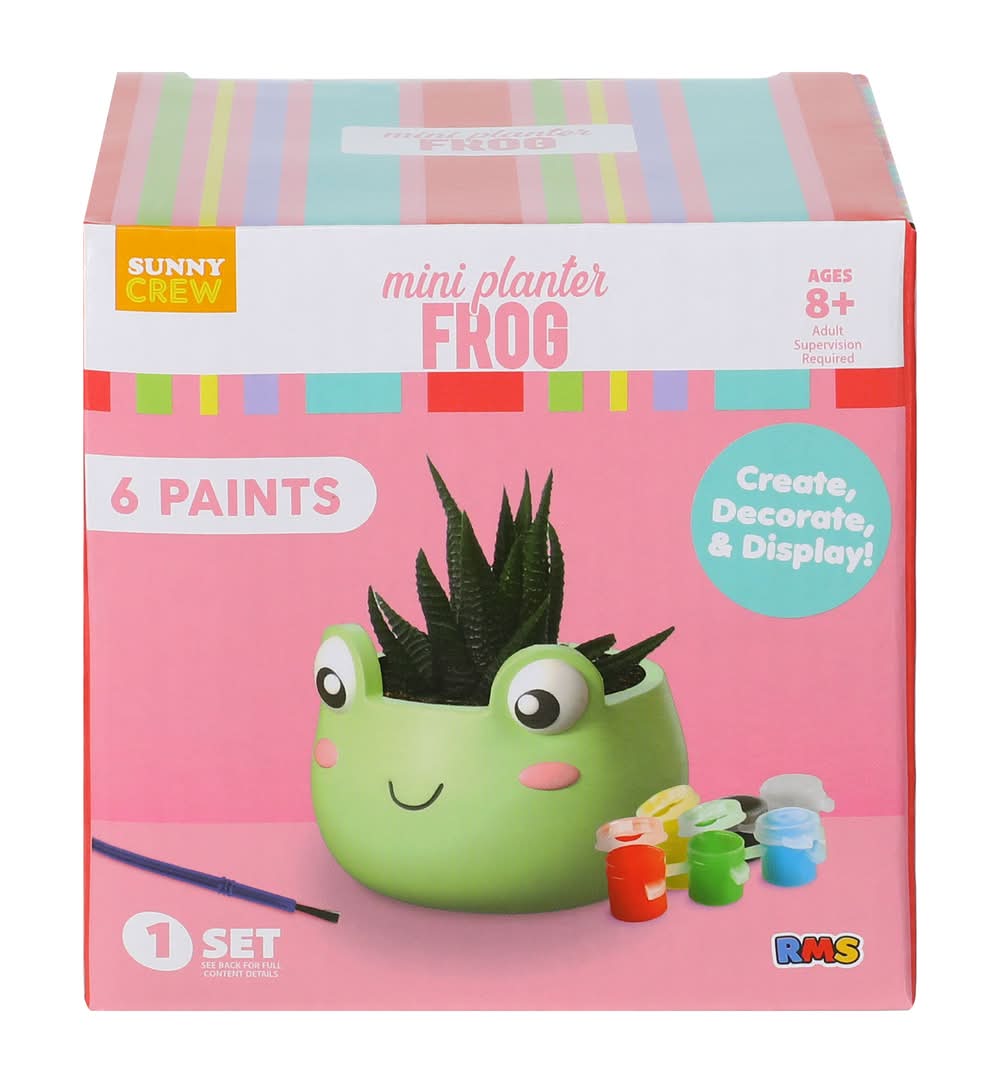 Paint-Your-Own Mini Planter Kit Frog