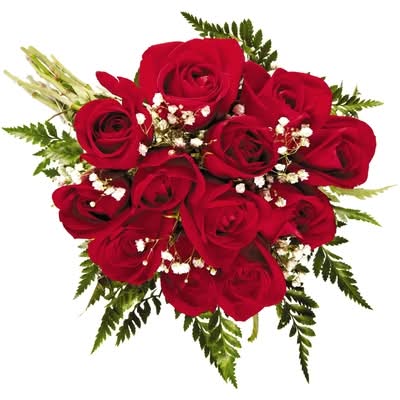 President's Choice Douzaine De Roses Rouge / Dozen Roses, Red 1.0 EA
