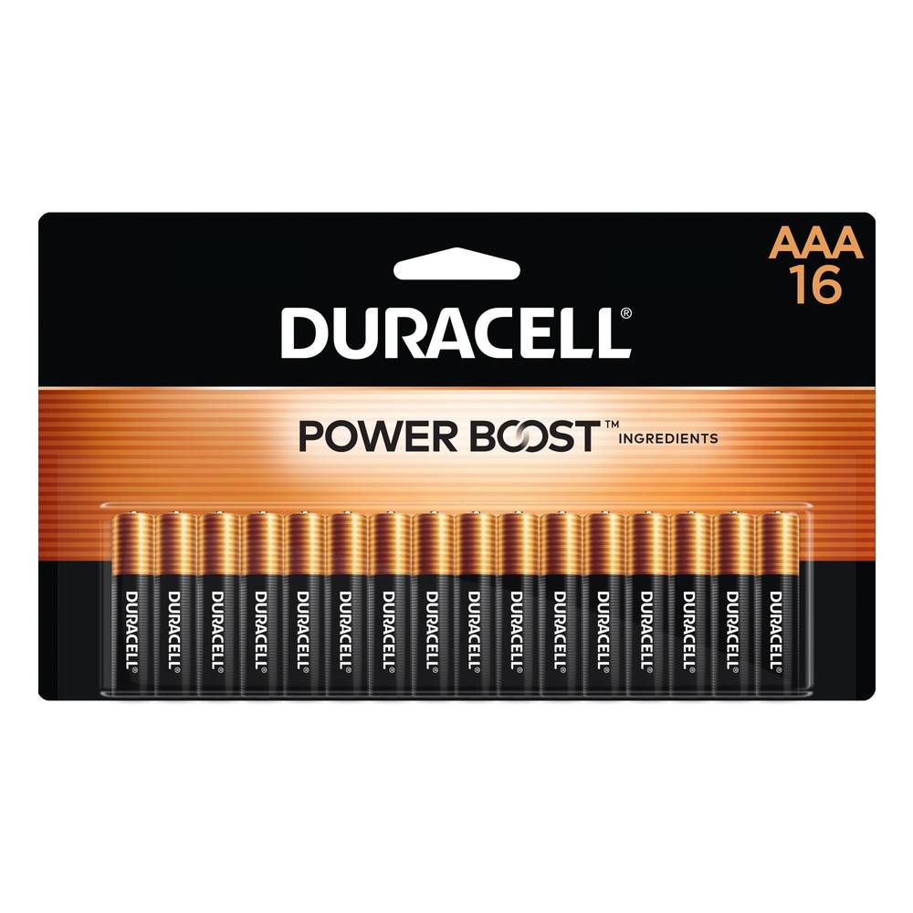 Duracell Coppertop Aaa Alkaline Batteries, 16 Ct