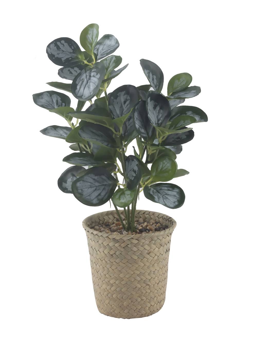 Alaniz Home planta artificial 36 cm