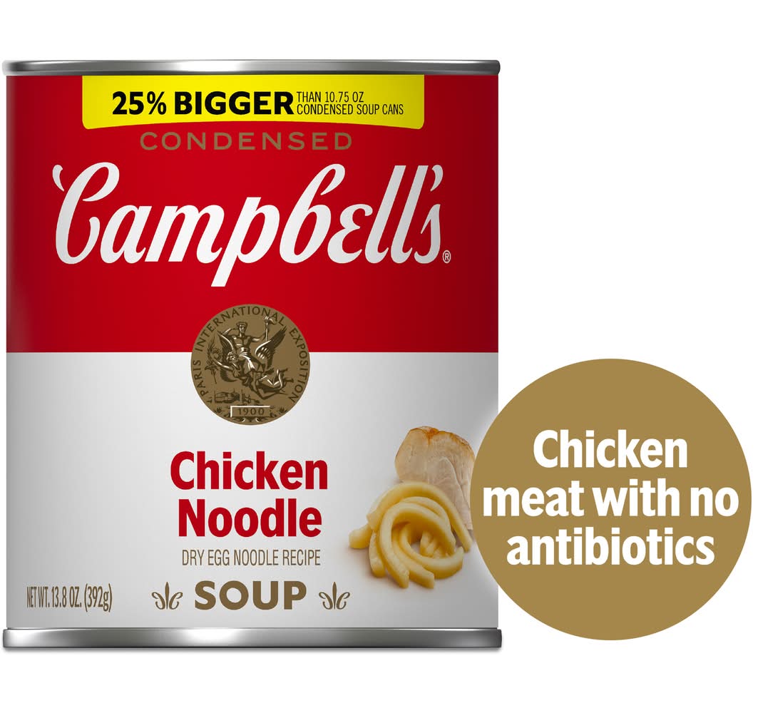 Campbell's Dry Egg Noodle Soup, Chicken (13.8 oz)