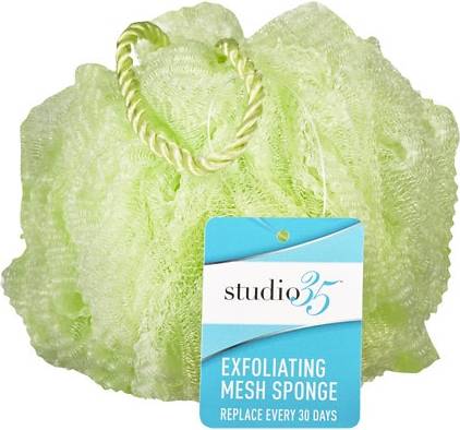 Studio 35 Walgreens Exfoliating Mesh Sponge, Green