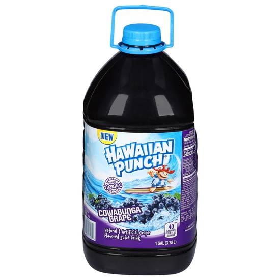 Hawaiian Punch Vitamin C Fruit Juice (1 gal) (grapes)
