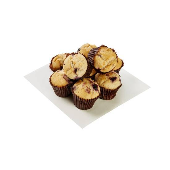 Coles Blueberry Mini Muffins (9 pack)