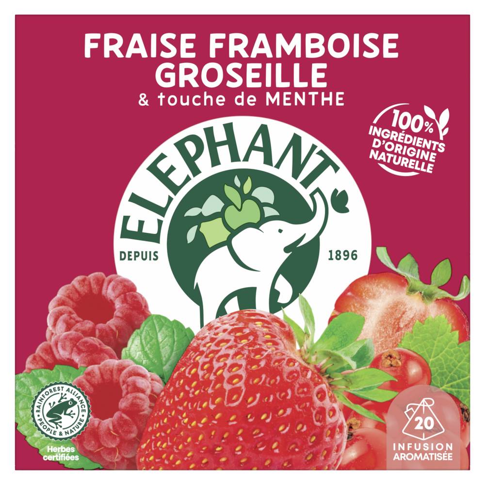 Eléphant - Infusion fruits rouges (360 g)