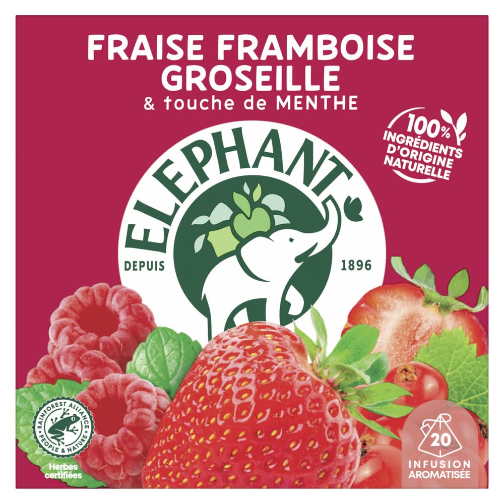Eléphant - Infusion fruits rouges (20)