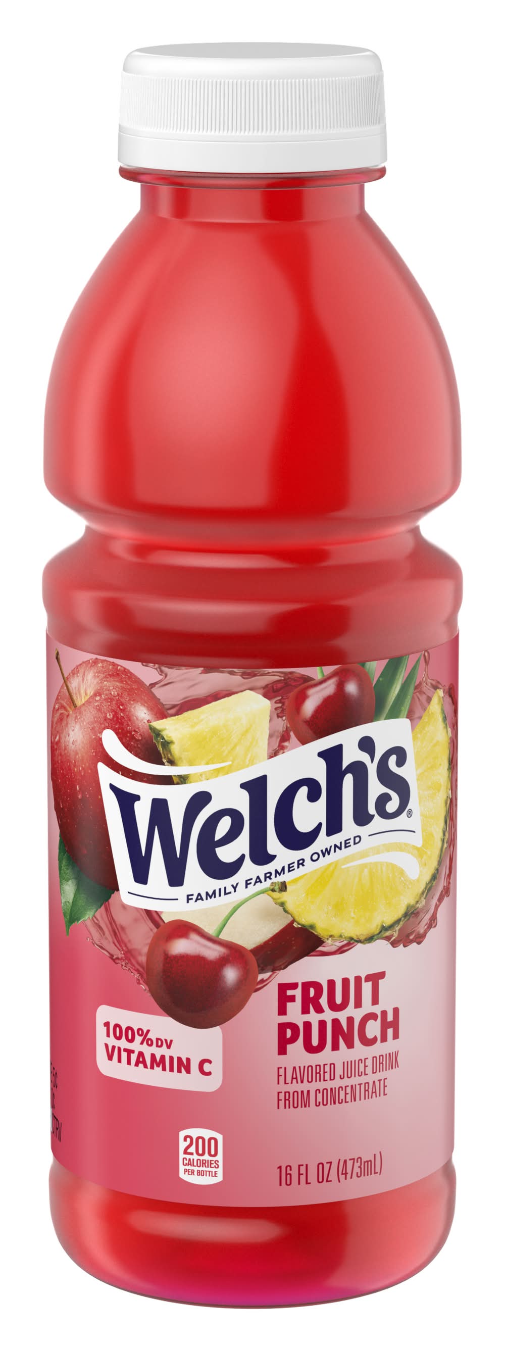 Welch's Fruit Punch (16 fl oz)