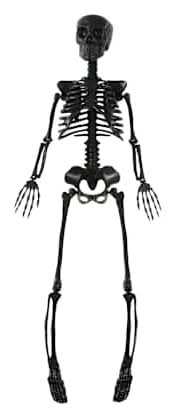 Posable Skeleton Black