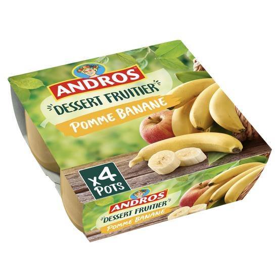 Andros dessert fruitier pommes et banane (4 pcs)