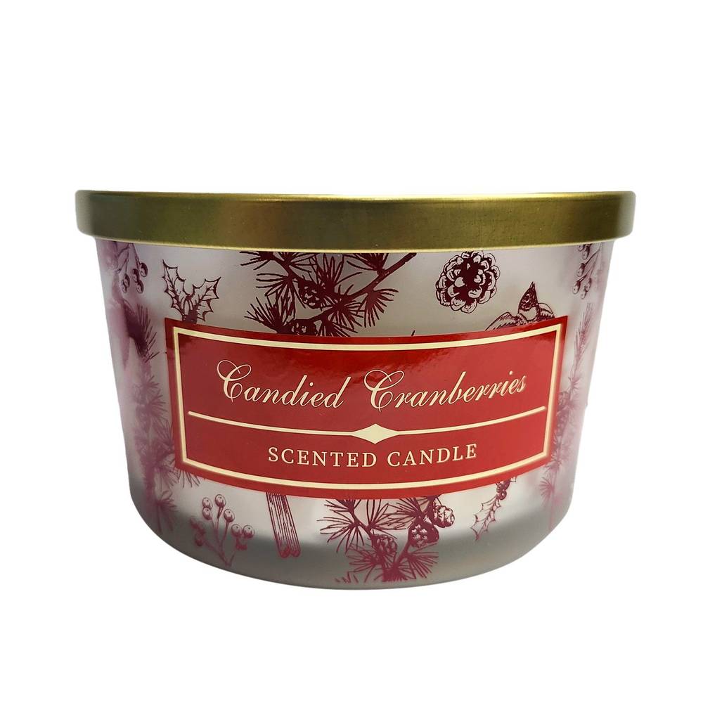 4 Wick Cranberry Candle, 14 Oz