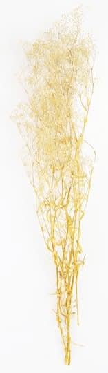 Natural Dried Baby'S Breath By Ashland