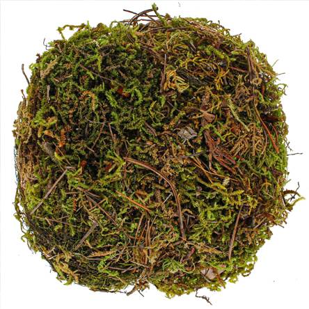 Musgo verde (bolsa 50 g)