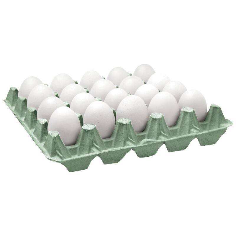 Ovos brancos tipo grande (20 un)